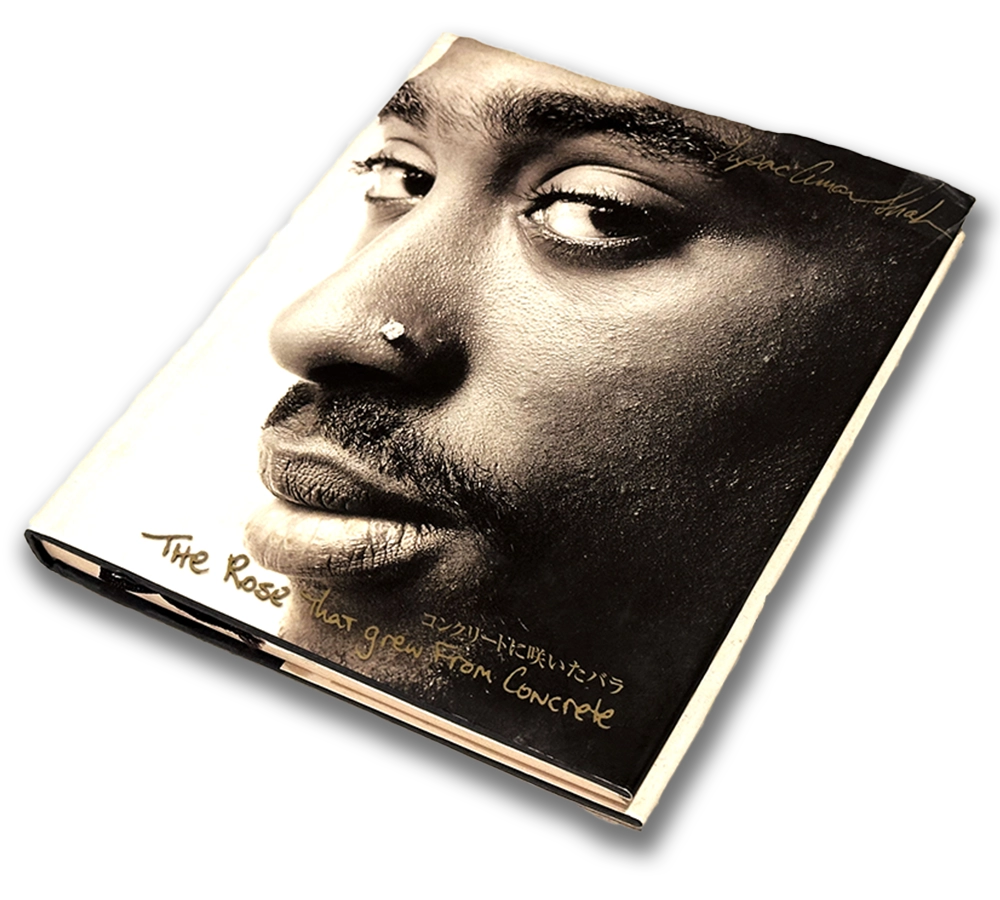 コンクリートに咲いたバラの書籍